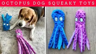 🧸 Squeaky No-Stuffing Dog Toys They&rsquo;ll Love 🐶 Fun Without the Mess!
