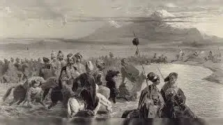 Кардухи