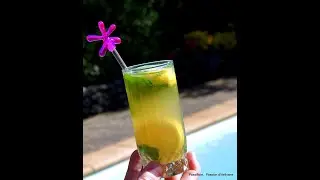 mojito rhum/citron/sirop de canne/s&egrave;ve de bouleau lactoferment&eacute;e bio