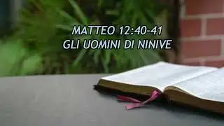Matthew 12:40-41 || Biblical Reflection