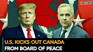 U.S. Kicks Out Canada From Gaza's 'Board of Peace'| Israel-Hamas War