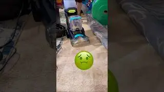 BISSELL Turbo Clean спасает наши ковры после приучения к туалету. Спасательные собаки: лучшее сре...