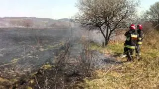 Pożar trawy na Podstawiu