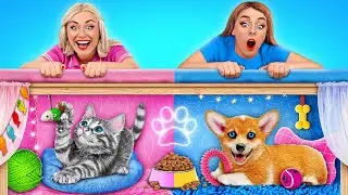 Chambres Secr&egrave;tes Pour Animaux De Compagnie par Multi DO Challenge