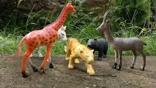Zoo Wild Animals Toy Set Review by Just Toys Time