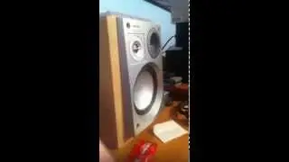 Philips w00x Max Excursion Test