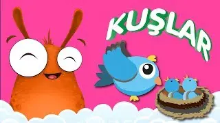 Kuşlar Nasıl Uçar? | Okul Öncesi Eğitici Animasyon | Anne Bu Ne?
