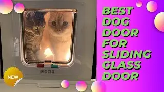 The Best Dog Door For Sliding Glass Door of 2022 🔥(Top 5 Picks)
