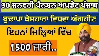 Today 30 January Pension update Punjab