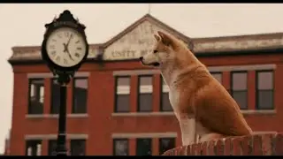 The True Story of Hachi: The Dog Who Waited 10 Years