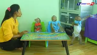 Obedient Monkey KAKO & Funny Baby LUNA Eating Cambodia Noodle
