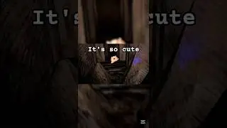 I don't play animal company is it obvious #animalcompany #pickedcellar25 #vr#puppy