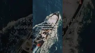 WORLD OCEAN'S DAY: OVER FISHING