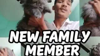 Hamara Naya Saathi! 🏠✨ | Welcome Home Surprise Vlog