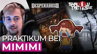 3D-Studium und Praktikum bei Mimimi Games (Interview mit Jan)