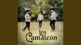 Hagamos un trato