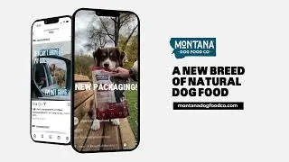 MDFC Phone Social Animation