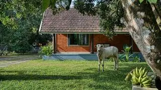 1800 Sq.Ft Tranquil Farmhouse Retreat &ndash; A Kavungal Estate #architecture #india #home #kerala #design