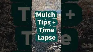 Mulch Tips + Time Lapse