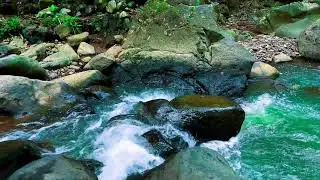 Healing River Flow Morning ASMR Nature Ambience for Meditation Relaxation and Sleep