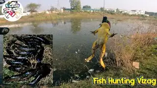 Vishakapatnam snakehead fishing#trending full video #snakeheadfish 