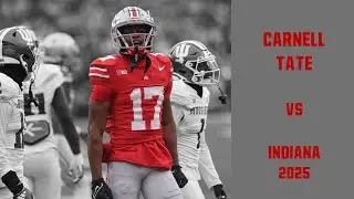 Carnell Tate vs Indiana 2025 B1G Champ