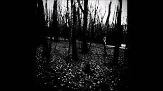 [sold] black metal trap | atmospheric trap metal type beat (prod. kynareth)