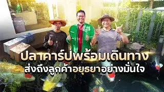 รีวิวส่งปลาคาร์ปให้ลูกค้าที่อยุธยา | จากฟาร์มถึงบ่อจริง