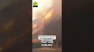 Unprecedented Fire Challenges: Battling 100-Mile Winds