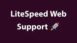 LiteSpeed Web Server Installation Support &ndash; Fast, Secure & Optimized Hosting Setup!