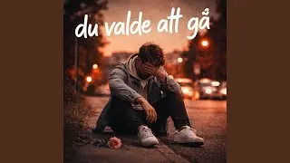 du valde att g&aring;