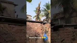 A master planning cutting tree #shorts