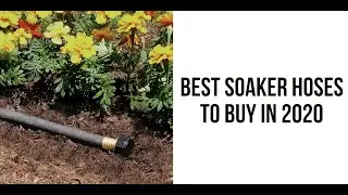 Best Soaker Hose to Buy in 2020