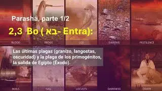 2,3. Parashá Bo Éxodo 1/2 (בא - Entra):