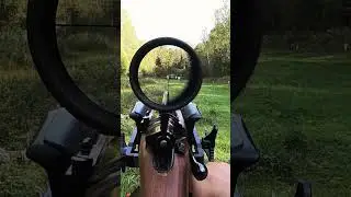 Загонный прицел MewLite