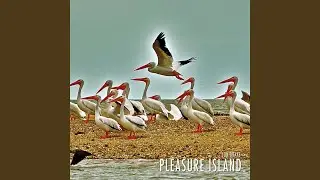 Pleasure Island
