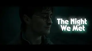 Harry Potter | The Night We Met