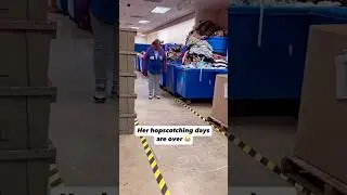 OSHA не одобрила эту классику 😂