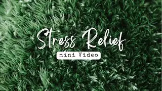 Calming Boat on Water Sounds 🌊 Deep Sleep Music for Stress, Insomnia & Anxiety Relief