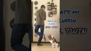 Smart dog giving swag to his dad #shorts #dogsofyoutube #explore #funny #dog #dance