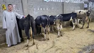 بدأت قناة 