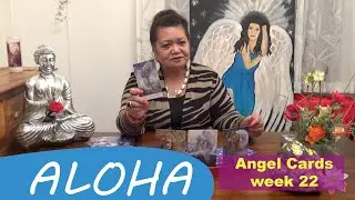 Week 22 &bull; Omata's Angel Cards