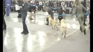 eur-2'20100328 11.19.26_NEW.mp4