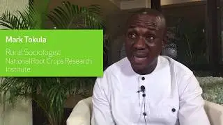 What kind of innovations are transforming African agriculture?