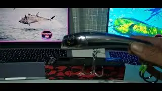 ¡¡¡PARTY TUNA !!!!TOP WATER #pesca #fish #fishing #tuna_fish_cutting