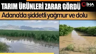 Adana’da Sel ve Dolu ! Tarlalar Sular Altında Kaldı