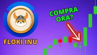 FLOKI la nuova meme coin da 100x?