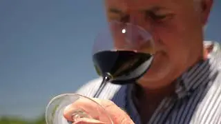 Purewine Drops - Is Pure Wine Safe YT