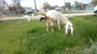 VID 20160506 140037