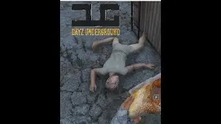 How to fix a broken leg in DayZ
